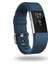 Akıllı Saat, Fitbit Charge 2 ile Uyumlu Bileklik Değiştirme Kayışı, Klasik ve Özel Ayarlanabilir Spor Bileklikler (Koyu Mavi-L) (Yurt Dışından) 5