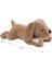 Peluş Dolgulu Kemikli Köpek Dog Uyku ve Oyun Arkadaşı 40 cm 3