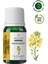 Aromatherapy Mustard Seed Carrier Oil Hardal Bitkisel Taşıyıcı Yağ 10 ml 1
