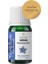 Aromatherapy Borage Carrier Oil Hodan Bitkisel Taşıyıcı Yağ 10 ml 3