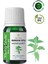 Aromatherapy Nettle Carrier Oil Isırgan Otu Bitkisel Taşıyıcı Yağ 10 ml 1