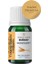 Aromatherapy Wheat Carrier Oil Buğday Ruyşeymi Bitkisel Taşıyıcı Yağ 10 ml 3