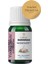 Aromatherapy Garlic Carrier Oil ( Maceration ) Sarımsak Bitkisel Taşıyıcı Yağ ( Maserasyon ) 10 ml 3
