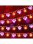 Adet Sevgililer Günü Peri Dizi Işıkları Kalp Dizisi 10 Ft 20 LED Kalp Şeklinde Pille Çalışan Peri Işıkları Sevgililer Günü Yatak Odası Doğum Günü G Için Su Geçirmez Pırıl (Yurt Dışından) 1