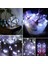 20 LED 6.5 Ft Peri Dize Işık Hücresi Pille Çalışan, Su Geçirmez Gümüş Tel Ateşböceği Işıkları Kapalı Noel Partisi Masa Dekorasyonu Için Yıldızlı Mini Işıklar (12 Paket, B (Yurt Dışından) 4