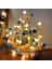 Iç Mekan Dize Işıkları 6.56 Feet Pom Poms Peri Işıkları 20 LED Pille Çalışan Dize Topu Işıkları Sıcak Beyaz Küre Işıkları Ev Yatak Odası Çocuk Tiyatrosu Holida Için Renkl (Yurt Dışından) 4