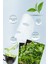 3 Adet Yeşil Çay Özlü Kağıt Yüz Maskesi Green Tea Face Mask 25ML XLM99 5