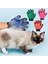 Gül Sol Resim Olarak Pet Kedi Bakım Malzemeleri Kauçuk Saç Çıkarma Eldiveni Kediler Için Yavru Fırçalar Bakım Eldiveni Katzen Zubehör (Yurt Dışından) 2