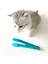Mavi Plastik Gözler Kaka Fırçası Toka Tasarımı El Kedi Gözü Kaka Fırçası Temizleme Araçları Yavru Göz Silme Ovmak Yeniden Kullanılabilir Evcil Hayvan Malzemeleri (Yurt Dışından) 2