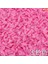 100PCS23CAT M 100 Adet Yeni Moda Renkli Kedi Tırnak Kapakları Kediler Için Yumuşak Pençe Yumuşak Paws Anti-Scratch Kedi Aksesuarları Ücretsiz Yapıştırıcı Tutkal (Yurt Dışından) 1
