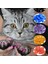 100PCS23CAT M 100 Adet Yeni Moda Renkli Kedi Tırnak Kapakları Kediler Için Yumuşak Pençe Yumuşak Paws Anti-Scratch Kedi Aksesuarları Ücretsiz Yapıştırıcı Tutkal (Yurt Dışından) 5
