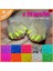 Altın Xs Yeni Moda Renkli Kedi Tırnak Kapakları Yumuşak Kedi Pençe Yumuşak Paws 20 Adet/Grup Yapışkan Tutkal İle Boyut Xs S M Lgift Evcil Hayvan Için (Yurt Dışından) 3