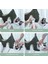 Mavi S Pet Kedi Bakım Hamak Yardımcı Kedi Köpek Hamak Köpekler Güzellik Hamak Kısıtlama Çantası Asılı Çivi Tamir Aksesuarları (Yurt Dışından) 3