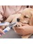 Renk 6 S Köpek Tırnak Makası Profesyonel Evcil Hayvan Tırnak Makası Düzelticiler, Köpekler Kediler Için Aşırı Kesimi Için Güvenlik Görevlisi ile Bakım Tıraş Makinesi (Yurt Dışından) 3