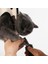 Yepyeni Siyah 2-5Kg Yeni Pet Kedi Bakım Hamak Kedi Bakım Hamakları Kısıtlama Çantası Yavru Köpek Kedi Tırnak Klip Kırpma Anti-Bite (Yurt Dışından) 3