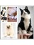 Sarı Xxl 20 Adet Silikon Yumuşak Kedi Tırnak Xs-Xxl Kapaklar Kedi Tırnak Kapakları Pet Pençe Paws Kapaklar Yapıştırıcı Tutkal Hayvan Koruma (Yurt Dışından) 3