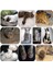 Kırmızı S 2.5-4 kg 100 Adet/ grup li Kediler Köpekler Yavru Paws Bakım Tırnak Pençe Kap Yumuşak Kauçuk Pet Tırnak Kapak Paws Koruyucu Kapaklar Pet Malzemeleri (Yurt Dışından) 4