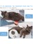Siyah Pet Kedi Fırça Köpek Tarak Saç Pet Saç Tarak Kaldırır Kendi Kendini Temizleyen Slicker Fırça Kediler Köpekler Karışık Saç Güzellik Ürünleri Kaldırır (Yurt Dışından) 4
