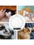 L Kedi Köpek Anti-Isırık Namlu Bakım Aksesuarları Nefes Maske Anti-Yalama Uzay Kaput Maskesi Kapak Namlu Banyo Bakım Malzemeleri (Yurt Dışından) 1