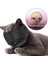 Pembe Takım Elbise 1-2.5 kg Nefes Naylon Kedi Ağızlıklar Yavru Yüz Maskeleri Damat Yardımcıları Banyo Anti-Isırma Anti-Scratch Kedi Bakım Araçları Için Pet Malzemeleri (Yurt Dışından) 2