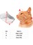 Pembe Takım Elbise 1-2.5 kg Nefes Naylon Kedi Ağızlıklar Yavru Yüz Maskeleri Damat Yardımcıları Banyo Anti-Isırma Anti-Scratch Kedi Bakım Araçları Için Pet Malzemeleri (Yurt Dışından) 5