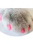 Pembe S 20 Adet Yumuşak Kedi Tırnak Kapakları / Kedi Tırnak Kapağı / Pençe Pençesi / Ücretsiz Tutkal ve Aplikatör ile Pet Silikon Tırnak Koruyucu / Boyut Xs S M L (Yurt Dışından) 5