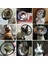 Beyaz 4 Postoperatif Pet Bakım Kapağı Kedi Aksesuarları Kediler Için Yara Iyileşmesi Koni Köpek Tasması Gato Kedi Koruyucu Mascotas Malzemeleri (Yurt Dışından) 4