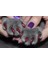 Glıtter Mavi S Yeni Moda Renk Kedi Tırnak Kapakları Yumuşak Kedi Pençesi Yumuşak PAWS100PCS/LOT Ücretsiz Yapışkanlı Tutkal ile Boyut Xs S M Lgift Evcil Hayvan Için (Yurt Dışından) 4