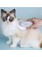 Pembe Kedi Fırça Köpekler Kediler Için Kendi Kendini Temizleyen Slicker Fırça Ufo Pet Bakım Fırçası Aracı Gevşek Astar Karışık Saç Tarağı Yavaşça Kaldırır (Yurt Dışından) 2