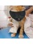 Rastgele 1pc L 5-10KG Rastgele Nefes Kedi Na mlu Kediler Bakım Ağızlıklar Kediler Banyo Maskesi Çantası Evcil Hayvan Bakım Aracı Çiziklerin Önlenmesi Anti-Isırma (Yurt Dışından) 3