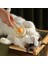 Yeşil Kimpets Kedi Saç Tarak Kedi Bakım Köpek Fırça Slicker Tavşan Iğne Tarak Karışık Banyo Temizleme Evcil Hayvan Malzemeleri Aksesuarları (Yurt Dışından) 3