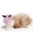 Pembe M Nefes Kedi Namlu Ağız Maskesi Kapak Pet Anti-Scratch Bite Banyo Bakım Banyo Temizleme Pet Malzemeleri (Yurt Dışından) 5