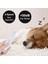 1 Takım Elektrikli Evcil Hayvan Tırnak Makası Sessiz Otomatik Köpek Tırnak Öğütücü USB Kedi Pençe Tel Kesici Bakım Giyotin Yumuşatma Köpek Malzemeleri (Yurt Dışından) 2