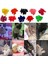 Tavuskuşu Mavi L 20 Adet Renkli Kedi Tırnak Kapakları Yumuşak Kedi Pençesi Yumuşak Paws Ücretsiz Yapışkanlı Tutkal Pet Tırnak Koruyucu Kapak (Yurt Dışından) 4