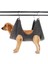 gri M Manikür Tamir Çivi Köpek Kedi Hamak Evcil Hayvan Hamağı cı Kısıtlama Havlu Çantası Alma Banyo Evcil Hayvan Aksesuarları (Yurt Dışından) 1
