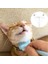 Siyah Kedi Tarak Pet Epilasyon Fırçası Kediler Köpek Kabartmak Temizleme Bakım Malzemeleri Gıdıklama Masaj Müzik Tarak Astar Karışık (Yurt Dışından) 2