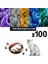 5 Adet 6o7 S 100 Adet Kedi Pet Tırnak Kapakları Kediler Için Çizilmez Aksesuarlar Evcil Hayvan Ürünleri 5x Yapışkanlı Tutkal * Xs, S, M, L, Kapak, Pençeler Tırnak Kapakları (Yurt Dışından) 2