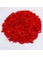 Açık Pembe L 100 Adet / Grup Kedi Tırnak Kapakları Yumuşak Pençe Tırnak Koruyucu ile Ücretsiz 5x Yapıştırıcı Tutkal + 5x Aplikatör Xs S M L (Yurt Dışından) 4
