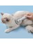 Yeşil 20X7.5 cm Pet Kedi Fırça Köpek Tarak Kendi Kendini Temizleyen Slicker Fırça Kedi Köpek Saç Karışık Pet Saç Masaj Tarak Kediler Aksesuarları Kaldırır (Yurt Dışından) 5