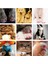 Stil 9 Xs Tırnak Kapakları Kedi Pençeleri Için Yumuşak Tırnak Kapakları Tutkal + Aplikatörler Kedi Pençeleri Için Çok Renkli Yumuşak Pençeler Tırnak Kapakları (Yurt Dışından) 3