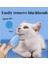 B Taşınabilir Kedi Temizleme Siyah Çene Fırçası, Evcil Kedilerin ve Köpeklerin Gözyaşlarını ve Yağ Kirini Temizlemek Için Silikon Fırçanın Silinmesine Yardımcı Olabilir (Yurt Dışından) 2