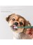 Açık Mavi Yuvarlak Kafa Pet Diş Fırçası Köpek Diş Fırçası Kedi Diş Fırçası Kedi 360 Derece Ağız Temizleme Köpek Diş Fırçası Pet Malzemeleri (Yurt Dışından) 2