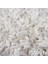 Mavi S 20 Adet - Kediler Için Yumuşak Tırnak Başlıkları + 1x Yapışkan Tutkal + 1x Aplikatör /* Xs, S, M, L, Kapak, Kedi, Pençe, Pençe, Ztp */ (Yurt Dışından) 4
