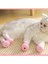 Yeşil 4 Adet Anti-Isırma Banyo Yıkama Kedi Pençesi Kapak Kesim Çivi Ayak Koruyucu Pet Paw Koruyucu Anti-Scratch Kedi Ayakkabı Çizmeler Ayarlanabilir (Yurt Dışından) 3