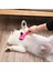 Turuncu Pet Kedi Köpek Bakım Fırçası Tarak Saç Pet Saç Tarak Kaldırır Kendi Kendini Temizleyen Slicker Fırça Kediler Köpekler Için Karışık Saç Güzellik Kaldırır (Yurt Dışından) 4