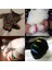 Kırmızı M-Cat Yumuşak Kedi Tırnak Kapakları Köpek Paw Tırnak Koruyucu Pençe Kap Yavru Tırnak Kapak Pet Paws Yapışkanlı Tutkal İle Caps Kedi Bakım Malzemeleri (Yurt Dışından) 5