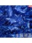 Lake Blue L 120 Adet - Kediler Için Parıltılı Yumuşak Tırnak Kapakları + 6x Yapışkan Tutkal + 6x Aplikatör /* Xs, S, M, L, Pençe, Pençe, Kapak, Lot, Kedi */ (Yurt Dışından) 1