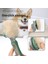 Köpek ve Kedi Için 2-Green-1 Kendi Kendini Temizleyen Slicker Fırça Astarı Kaldırır Karışık Saç Masajları Parçacık Pet Tarak Dolaşımını Artırır (Yurt Dışından) 5