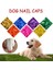 Gül L Renkli Kedi/köpek 20 Adet Silikon Yumuşak Kedi Tırnak Kapakları/kedi Pençe Pençesi/evcil Hayvan Tırnak su/kedi Tırnak Kapağı Tutkal ile Evcil Hayvanlar (Yurt Dışından) 2