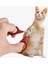 Tırnak Törpüsü-Gri Evcil Hayvan Bakım Ürünleri Pet Kedi Köpek Tırnak Makası Tırnak Törpüsü Pet Köpek Tırnak Makası Ayak Pençesi Giyotin Profesyonel Yavru Kedi Malzemeleri (Yurt Dışından) 4